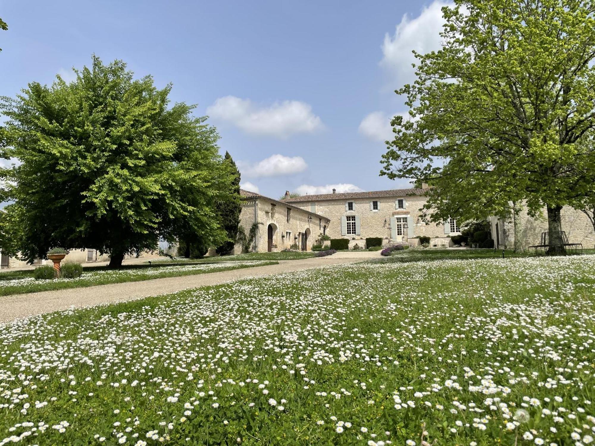 ชาโต มาสบูเรล Bed & Breakfast Fougueyrolles ภายนอก รูปภาพ